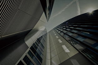 南平app研發(fā)公司 好用的互聯(lián)網(wǎng)it推薦